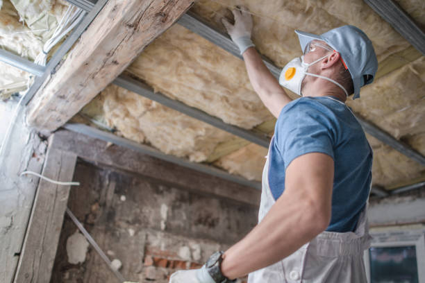 Best Spray Foam Insulation  in Ishpeng, MI