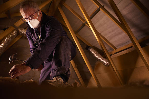 Best Attic Insulation Installation  in Ishpeng, MI